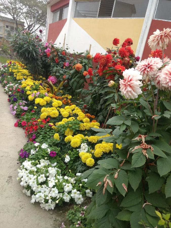Woodland Lodge And Restaurant Guwahati Exterior foto